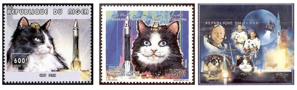 Những chú mèo "ghi danh" trong list thành tựu khoa học thế giới 11